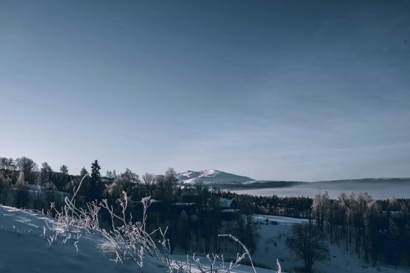 Verschneite Winterlandschaft in Schweden mit frostbedeckten Gräsern im Vordergrund, Nadel- und Laubwald, Hütten und sanften Bergen unter blauem Himmel