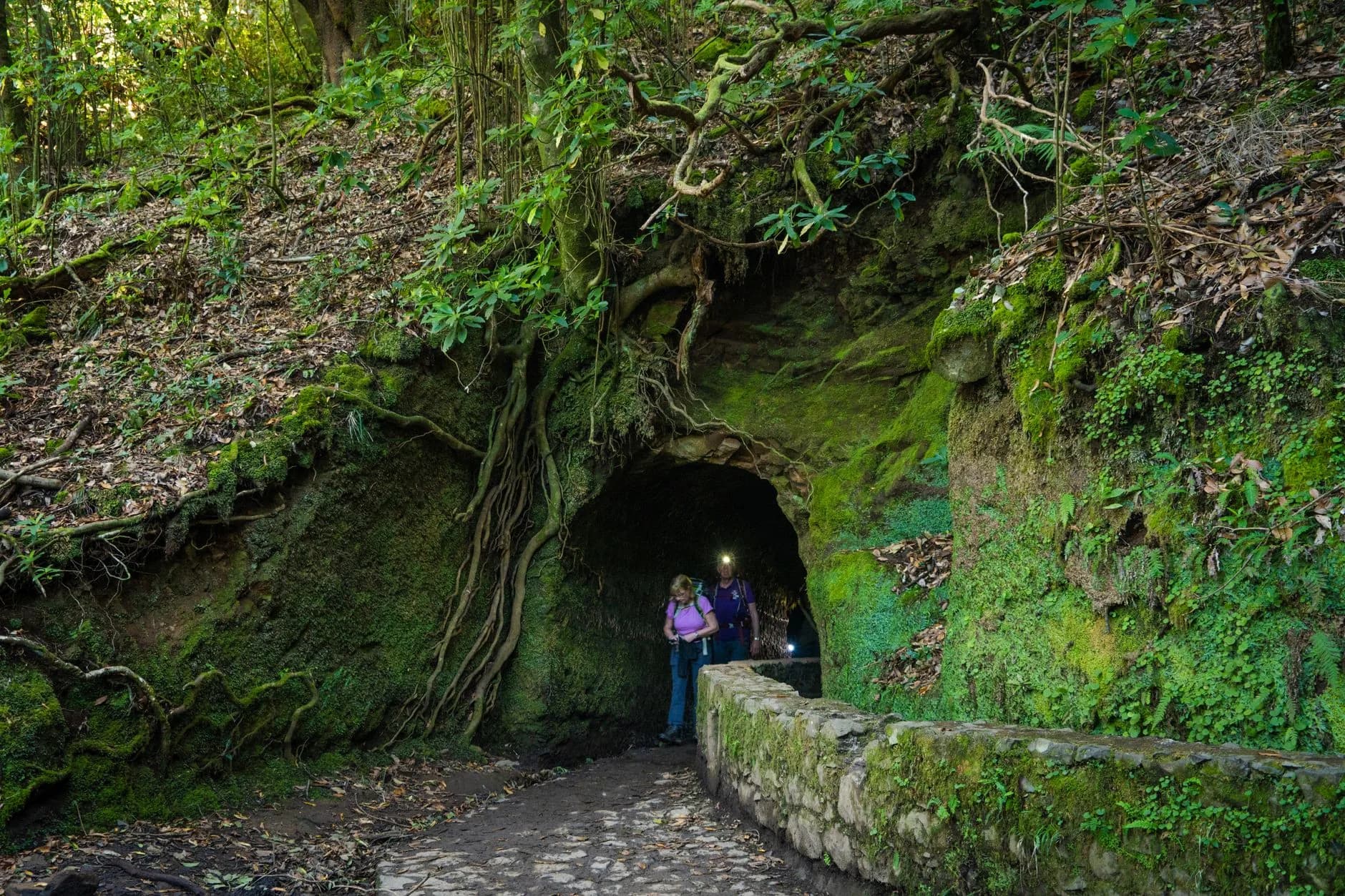 Zwei Wanderer mit Stirnlampen treten aus einem moosbewachsenen Felstunnel an einem Wasserlauf im Wald