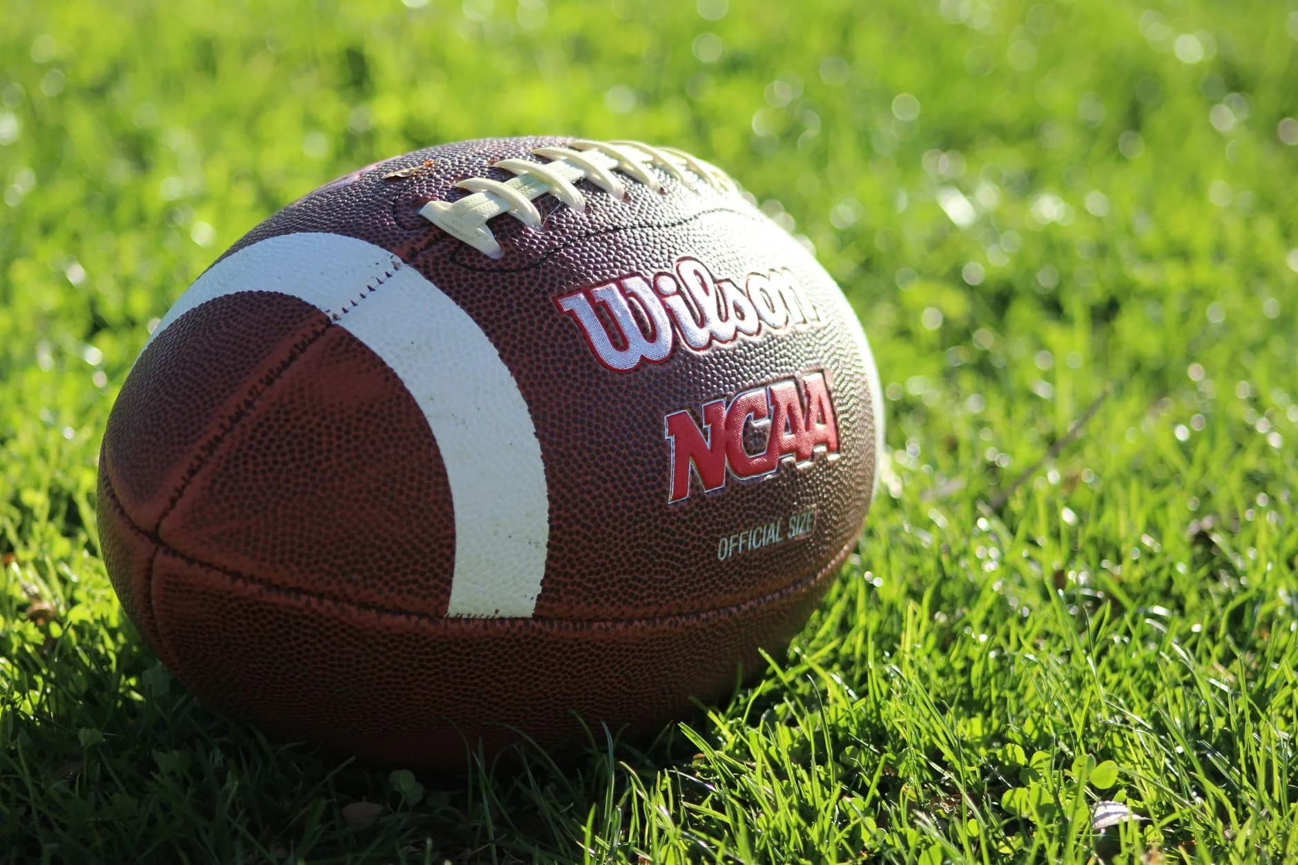 Brauner American-Football mit weißem Mittelstreifen und NCAA-Aufdruck liegt im sonnenbeschienenen Rasen