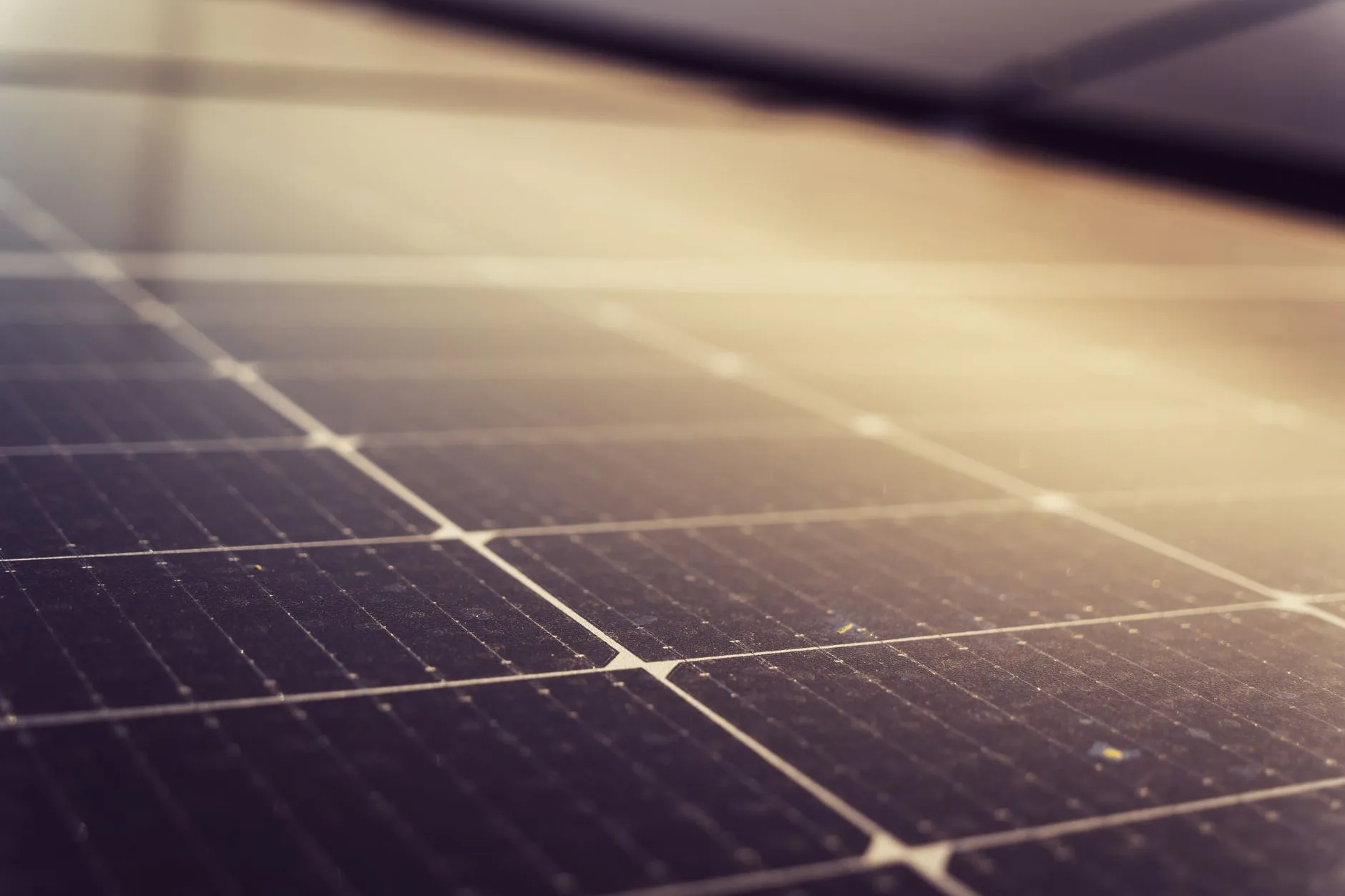 Nahaufnahme eines Solarpanels mit erkennbaren Zellen im warmen Gegenlicht