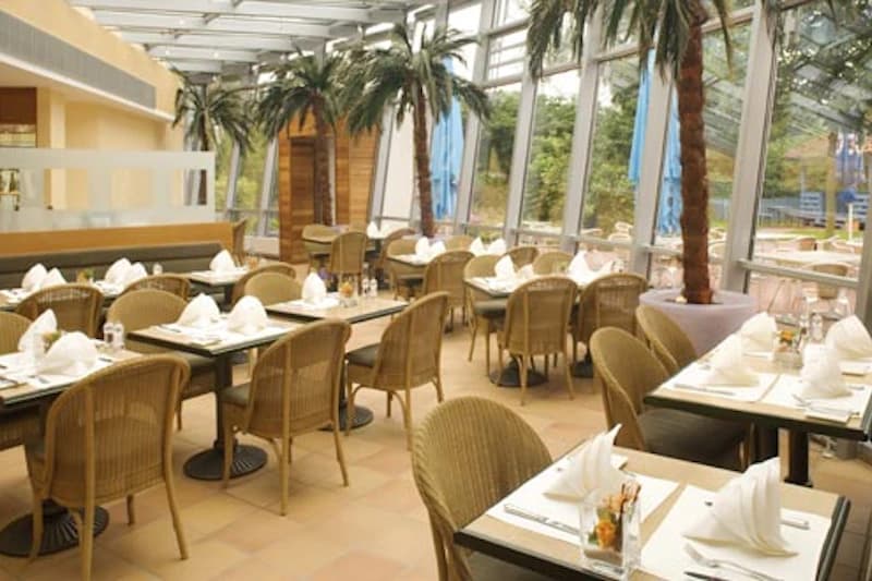 Helles Hotelrestaurant mit gedeckten Tischen, geflochtenen Stühlen und hohen Palmen an großen Fensterfronten.