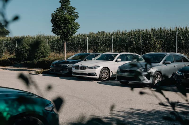 Mehrere geparkte Autos auf einem sonnigen Parkplatz vor einem Zaun und Bewuchs, ein Baum im Hintergrund.
