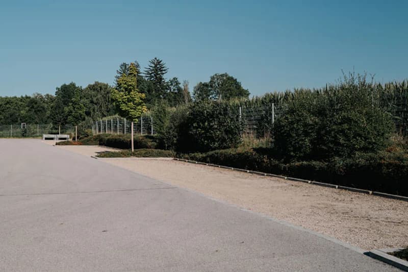 Breite asphaltierte Zufahrt mit Kiesrand, Sträuchern, Metallzaun und kleinem Baum unter klarem Himmel.