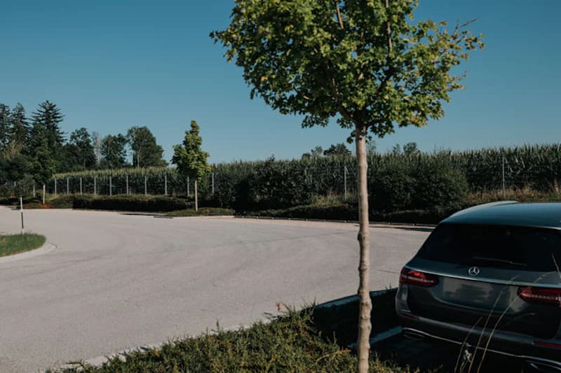 Gepflasterter Parkplatz mit Einzelbäumen, niedriger Hecke und Zaun im Hintergrund, rechts ein dunkelgrauer Mercedes geparkt.
